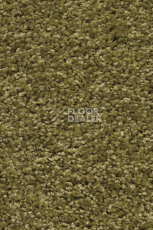 Ковролин AW Devotion 23 фото 1 | FLOORDEALER